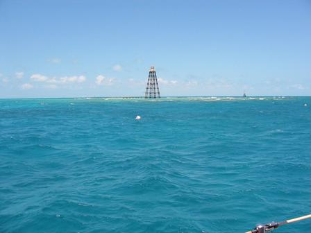 The Reef
